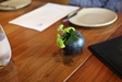Aubergine